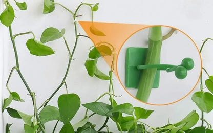Grampo de Parede para Plantas