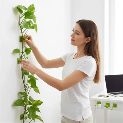 Grampo de Parede para Plantas