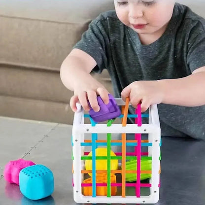 Kids' Challenging Sensory Box Toy