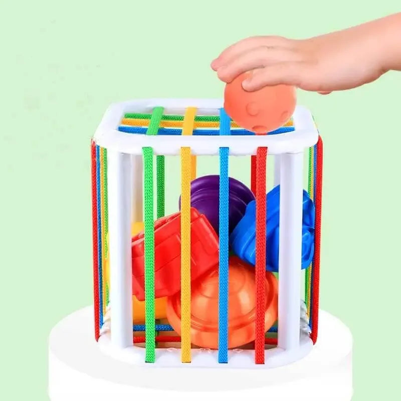 Kids' Challenging Sensory Box Toy