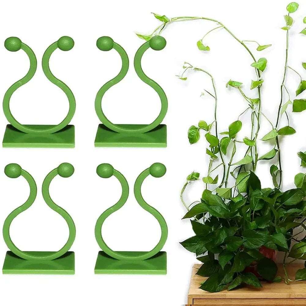 Grampo de Parede para Plantas