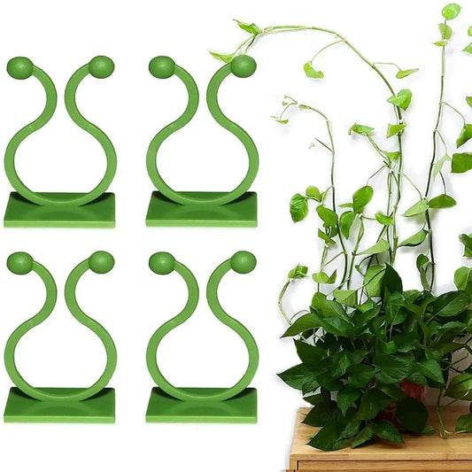 Grampo de parede para Plantas